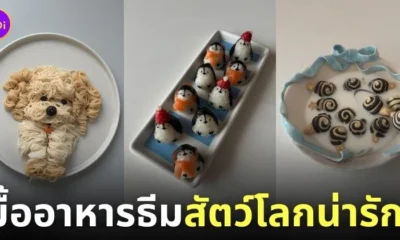ไอเดียสร้างสรรค์มื้ออาหาร ธีมสัตว์โลกน่ารัก แม่บ้านเกาหลี sibatable