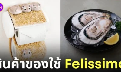 สินค้าของใช้ญี่ปุ่น felissimo