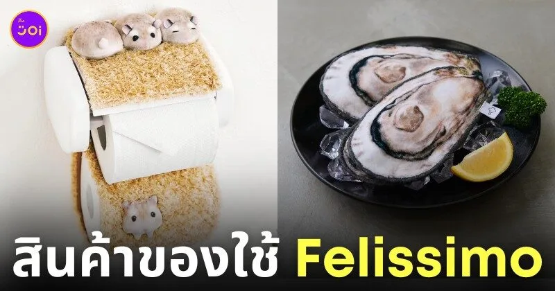 สินค้าของใช้ญี่ปุ่น felissimo
