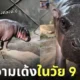 ฮิปโปแคระ หมูเด้ง 9 เดือน