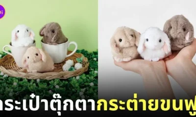 กระเป๋าตุ๊กตากระต่ายขนฟู felissimo