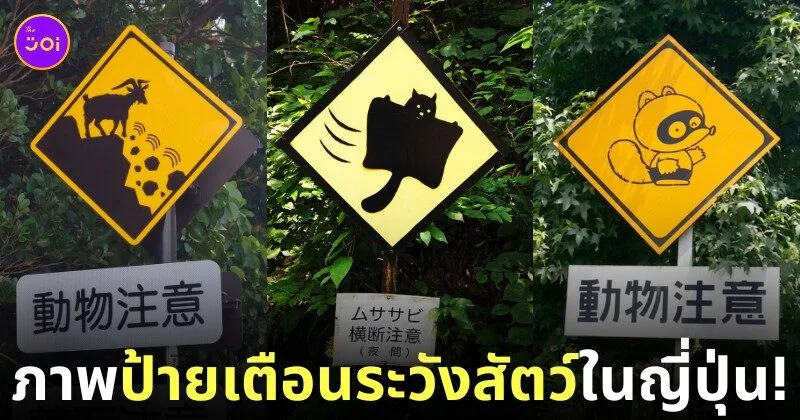 ภาพป้ายเตือนระวังสัตว์ในประเทศญี่ปุ่น