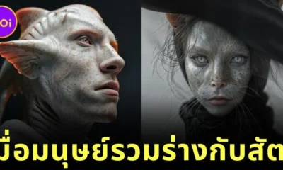พาส่อง 25 ภาพเสมือนจริงของมนุษย์ เมื่อรวมร่างกับสัตว์โลก โดย "ฟิล แลงเกอร์ (Phil Langer)" (ภาค 1)