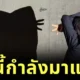 เกาหลีใต้ฮิตโพสต์ท่า "เงาแมว (Cat Shadow Trend)" เทรนด์ใหม่สุดคิ้วต์ที่กำลังครองใจโลกโซเชียล