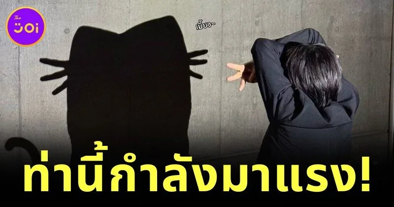 เกาหลีใต้ฮิตโพสต์ท่า "เงาแมว (Cat Shadow Trend)" เทรนด์ใหม่สุดคิ้วต์ที่กำลังครองใจโลกโซเชียล
