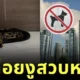 คอนโดห้ามเลี้ยงสัตว์ แต่ข้างห้องเลี้ยงหมา อีกห้องเลยปล่อยงูรอสวบ งานนี้ว้าวุ่นทั้งตึก