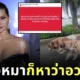 "สุนารี ราชสีมา" จูงหมาไซสามตัวเดินเล่น เจอดราม่าอวดรวย ทำเจ้าตัวเดือดจนต้องสวนกลับ!