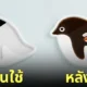 จานซอสรูปเพนกวิน