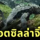 เผยคลิปอีกัวน่าทะเลแห่งเกาะกาลาปากอสหรือ "ก็อตซิลล่าจิ๋ว" สัตว์เลือดเย็นผู้ดำน้ำหาอาหารลึก 30 เมตร