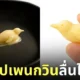 เนยรูปเพนกวิน