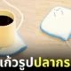 ที่อุ่นแก้วรูปปลากระเบน