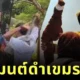 "น้องหญิง-ท่านพี่" ทำพิธีล้างมนต์ดำ! ยืนยันคนไทยไม่ต้องห่วง "แม่ทัพภาคที่ 2" พลังบุญส่งถึงแนวหน้าแล้ว