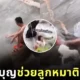 พระคุ้มครอง! ลูกสุนัขติดอยู่กลางน้ำตก โชคดีได้หนุ่มใจบุญลงมาช่วย จนถึงพื้นอย่างปลอดภัย