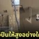 ภาพหมีโคอาล่านั่งตัวกลมบนยอดไม้สูงติดเพดาน