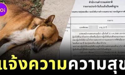 หนุ่มไทยแจ้งความตำรวจ หลังเห็นน้องหมานอนหลับอย่างมีความสุข ก่อนถูกเรียกมาตักเตือน
