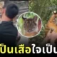 ลูกเสือน้อยถูกเพื่อนบูลลี่บ่อย ๆ พี่เลี้ยงเลยต้องอุ้มโอ๋ตลอด เกิดเป็นภาพน่ารักจนกลายเป็นไวรัล