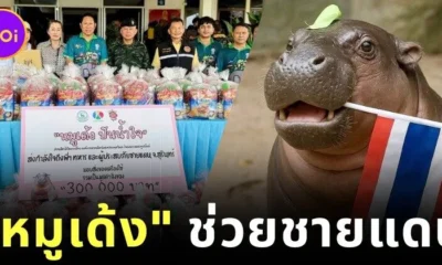 Moo Deng raises 300000 baht to help the border area and distributes stuffed toys for children to cuddle