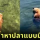 เจ้าหมีกริซลีลอยน้ำหาปลาแซลมอนแบบชิลล์ ๆ ดูน่ารักน่าเอ็นดูจนกลายเป็นไวรัล