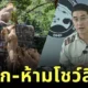 กรมอุทยานฯ สั่งกักสิงโตสวนสัตว์ชื่อดัง ปรับพฤติกรรม-ห้ามโชว์ตัว หลังมีประวัติกัดคน