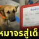 "เจ้าตาล" จากหมาจรจัดสู่พนักงานมีเงินเดือนแห่งปั๊มน้ำมัน เรื่องจริงที่อบอุ่นหัวใจคนทั้งประเทศ