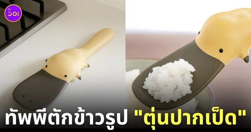 ทัพพีรูปตุ่นปากเป็ด