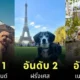 เผย 10 อันดับประเทศที่เป็นมิตรกับสัตว์เลี้ยง (Pet-Friendly) ประจำปี 2025 ที่คนรักสัตว์น่าพาน้องไปเยือน!