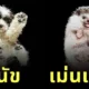"อันดรีอุส เบอร์บา (Andrius Burba)" ช่างภาพชาวลิทัวเนีย ผู้เผยมุมมองใหม่จากใต้ฝ่าเท้าของสัตว์โลกน่ารัก