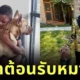ไวรัลอบอุ่นหัวใจ! เด็กชายชาวอเมริกันแต่งชุดสุดหรูต้อนรับหมาใหม่ เพราะ "มันคือสมาชิกครอบครัว"