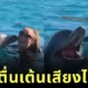 เมื่อ "มารายห์ แครี่" หวีดเสียงไฮโน้ตโชว์โลมา ทำน้องดีใจสุดขีดเหมือนเจอเพื่อนพูดภาษาเดียวกัน