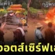 Vietnam monks Fire Magic
