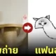 แฟนอาร์ต แมวนอนตัวยาวแปลกๆ