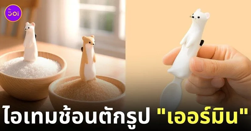ช้อนตักเครื่องปรุงรูปเออร์มิน ermine