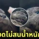 นากเด็กกินเนื้อปลาทำหน้าฟิน