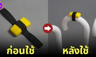 ที่ทำมาร์คร่มรูปซูชิหน้าไข่หวาน