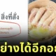 ร้านค้าที่จริงใจ! ลูกค้าขอ "กระดูกไก่ให้น้องหมา" แต่ร้านข้าวมันไก่เลือกให้ "อาหารเม็ดสุนัข" แทน เพราะห่วงสุขภาพสัตว์เลี้ยง
