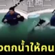 เจ้าหมาโดเบอร์แมนขี้อิจฉา! แกล้ง "ตกน้ำ" เอง หลังเห็นน้องหมาตัวเล็กได้ความสนใจจากเจ้าของ