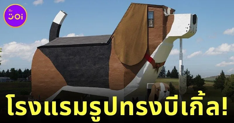"Dog Bark Park Inn" โรงแรมรูปทรงสุนัขบีเกิ้ลขนาดยักษ์แห่งแรกของโลก ที่พักสุดแหวกแนวในไอดาโฮ ประเทศสหรัฐอเมริกา