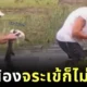 คุณปู่วัย 74 ปี สู้กับจระเข้ เพื่อช่วยชีวิตน้องหมาตัวน้อย ก่อนเอาออกจากปากนักล่าได้อย่างปลอดภัย