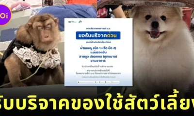 "คณะสัตวแพทย์ มอ." เปิดรับบริจาคสิ่งของสัตว์เลี้ยง ช่วยเพื่อนสี่ขาที่ได้รับผลกระทบจากเหตุการณ์น้ำท่วมภาคใต้