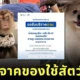 "คณะสัตวแพทย์ มอ." เปิดรับบริจาคสิ่งของสัตว์เลี้ยง ช่วยเพื่อนสี่ขาที่ได้รับผลกระทบจากเหตุการณ์น้ำท่วมภาคใต้