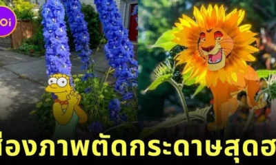 พาส่องภาพตัดกระดาษสุดฮาโดย "รูดี้ วิลลิงแฮม (Rudy Willingham)" ที่ทำให้ชีวิตประจำวันดูมีชีวิตชีวามากขึ้น