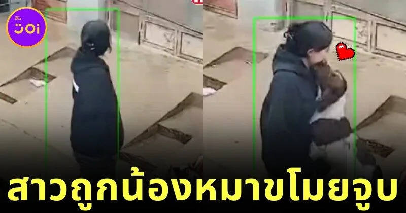 เผยคลิปน้องหมาพุ่งจูจุ๊บหญิงสาวแปลกหน้า ทำเอานุดเขินตัวเป็นเกรียวจนกลายเป็นไวรัล!