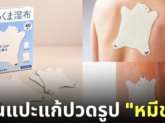 แผ่นแปะแก้ปวดลายหมีขาว